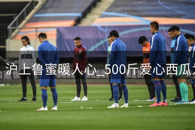 沪上鲁蜜暖人心 500斤爱心西瓜为远征泰山将士送清凉